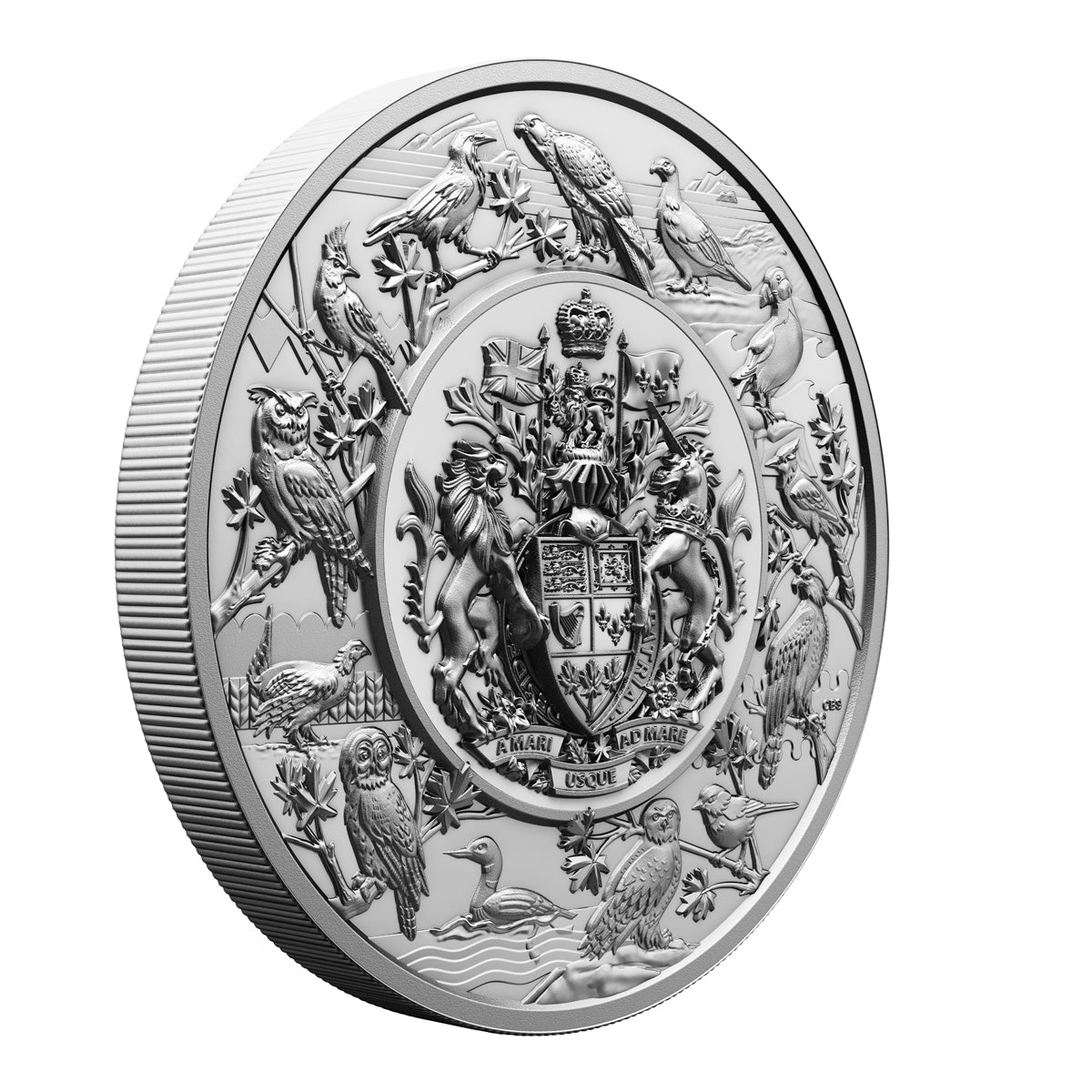 2024 $500 Heraldic Landscape: Birds of Canada - Pure Silver Coin