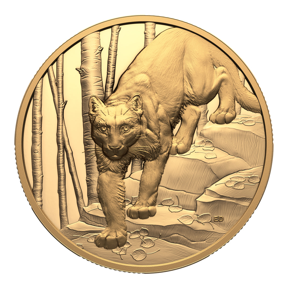 2024 $200 Great Hunters: Cougar - Ultra-High Relief Gold Coin