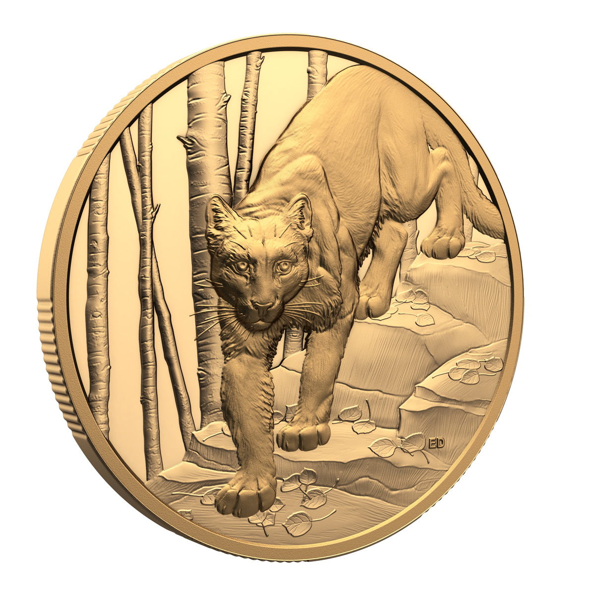 2024 $200 Great Hunters: Cougar - Ultra-High Relief Gold Coin