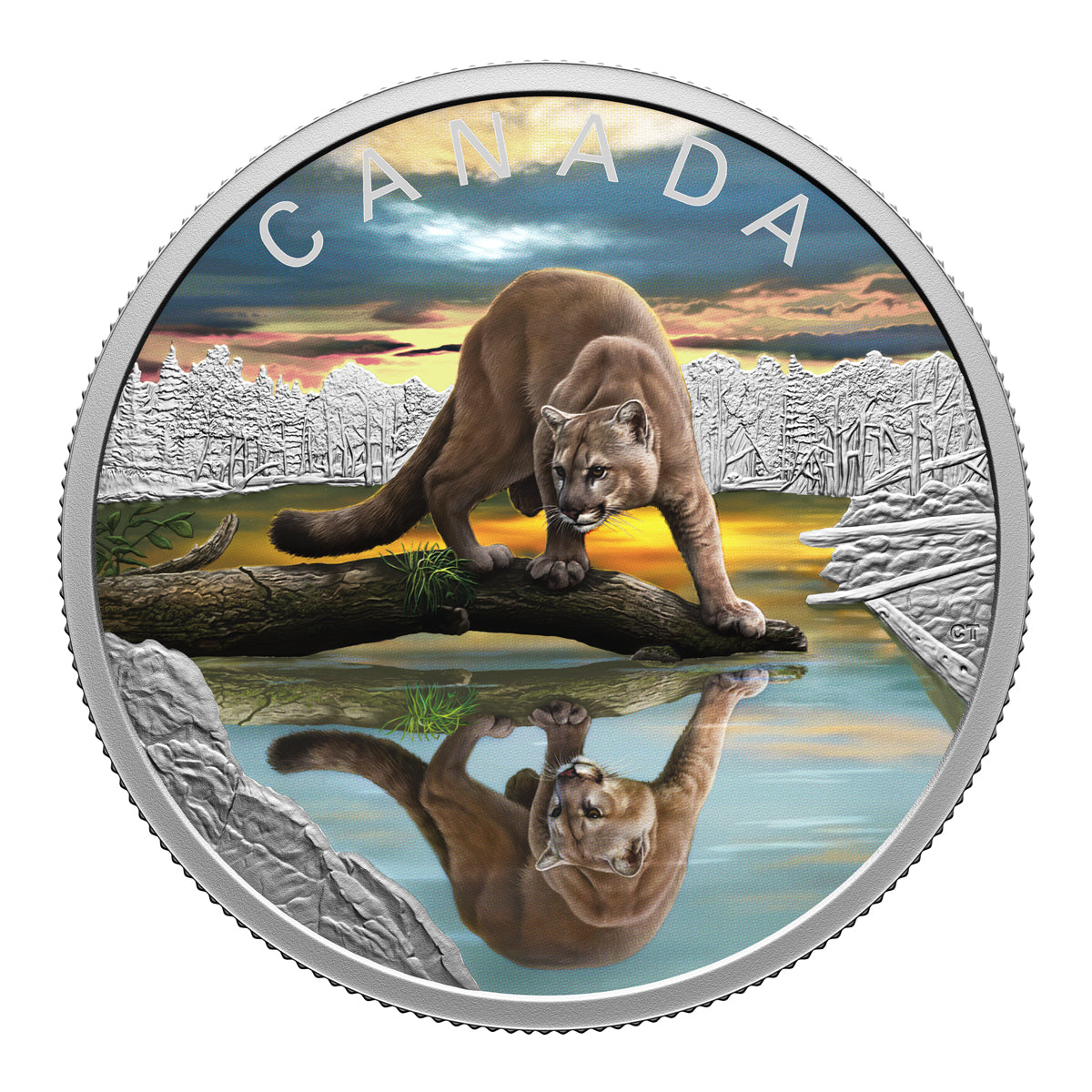 2024 $20 Wildlife Reflections: Cougar - Pure Silver Coin