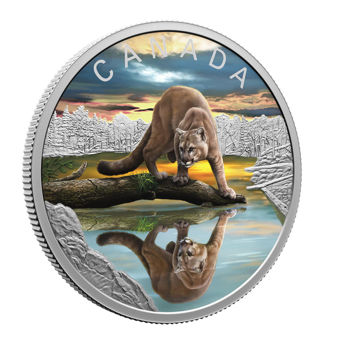 2024 $20 Wildlife Reflections: Cougar - Pure Silver Coin