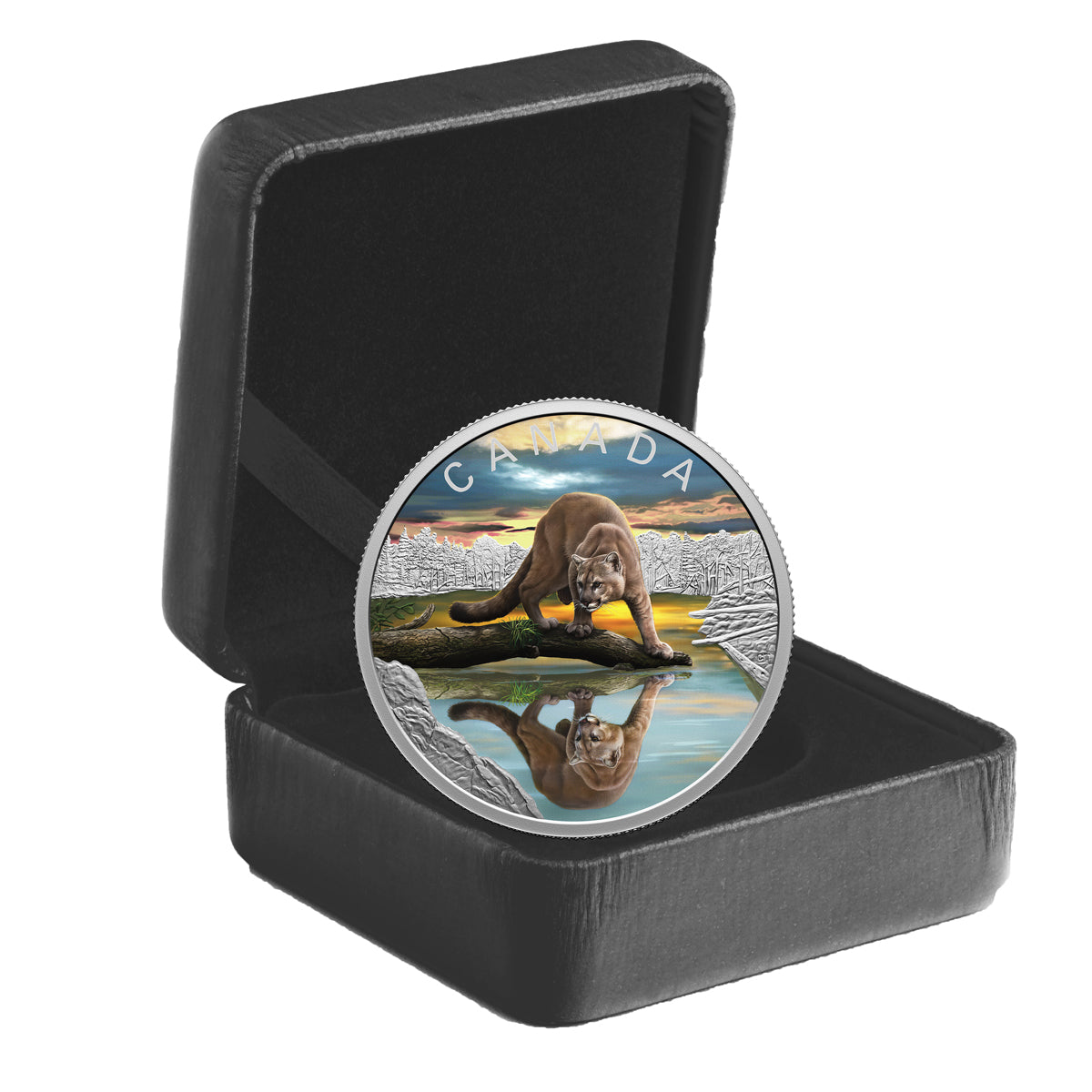 2024 $20 Wildlife Reflections: Cougar - Pure Silver Coin