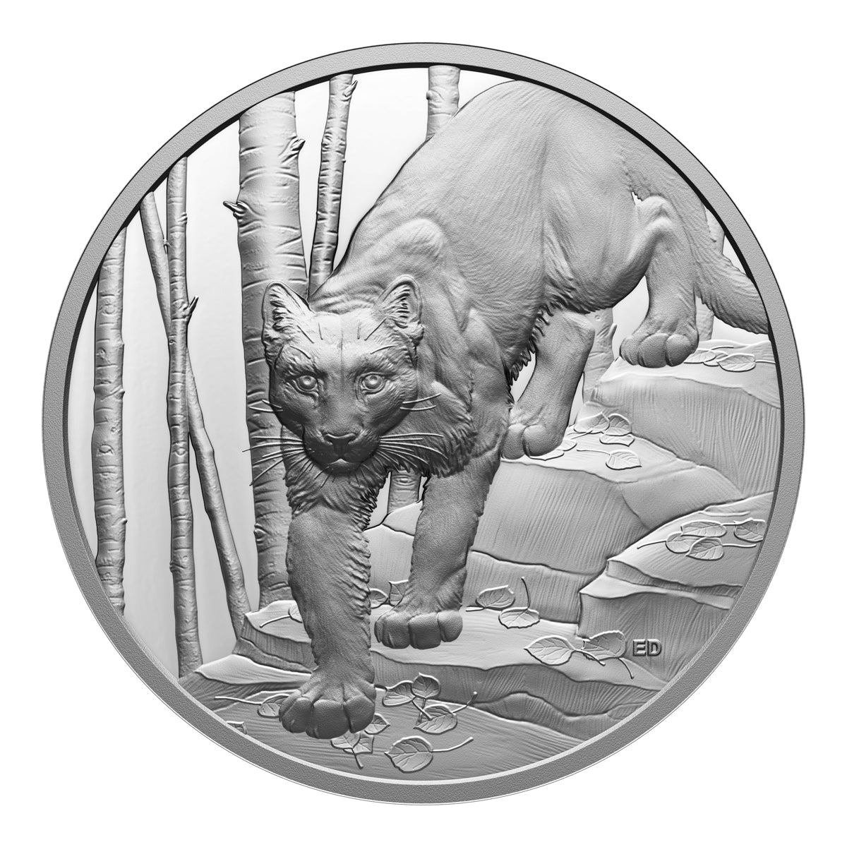 2024 $20 Great Hunters: Cougar - Ultra-High Relief Silver Coin