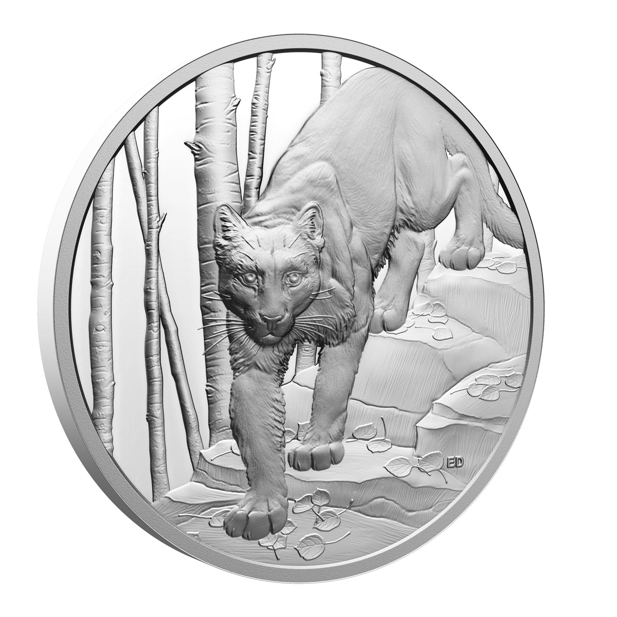 2024 $20 Great Hunters: Cougar - Ultra-High Relief Silver Coin