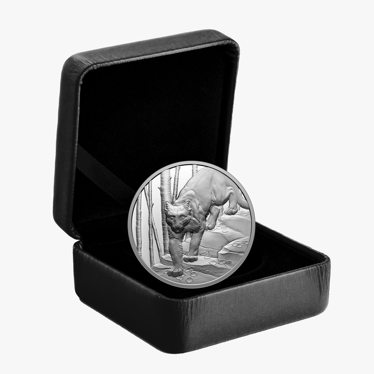 2024 $20 Great Hunters: Cougar - Ultra-High Relief Silver Coin