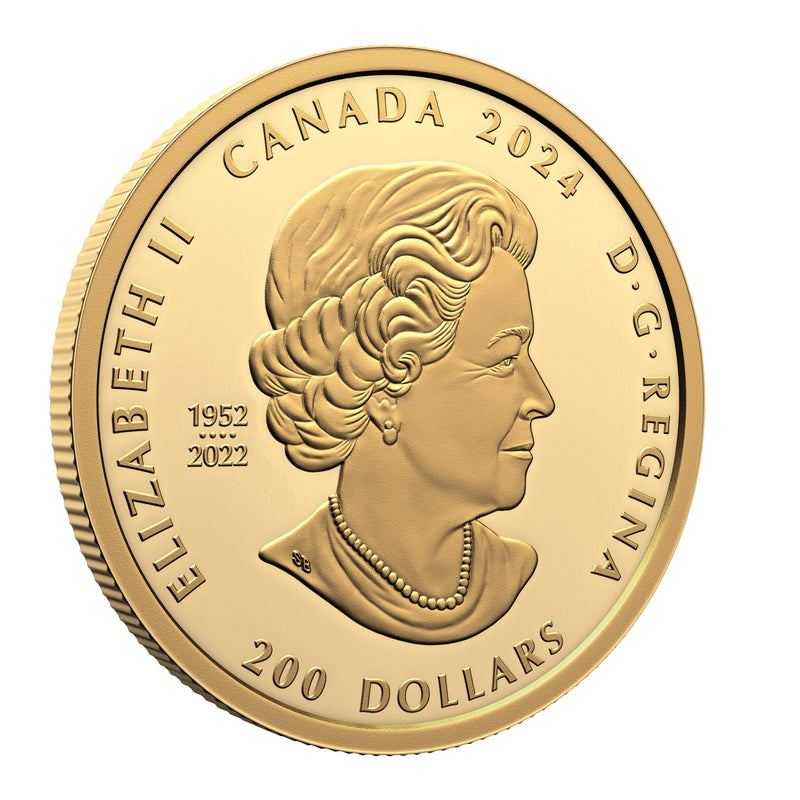 2024 $200 Celebrating Canada's Diversity: Transcendence and Tranquility - Pure Gold Coin