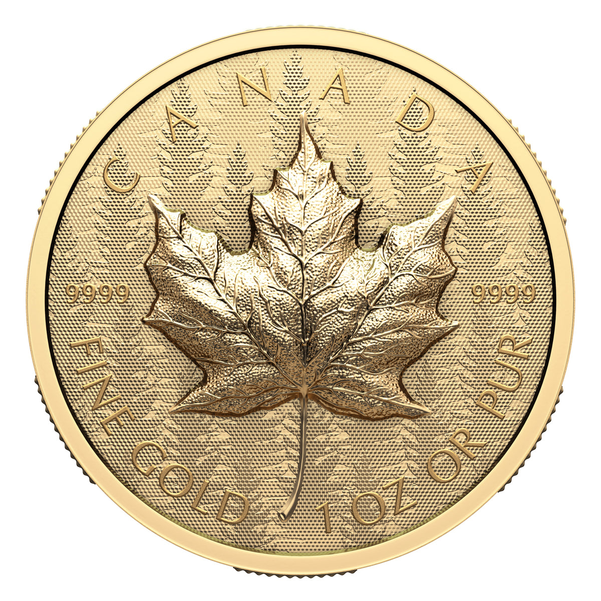 2024 $200 Ultra-High Relief 1 oz GML - Pure Gold Coin