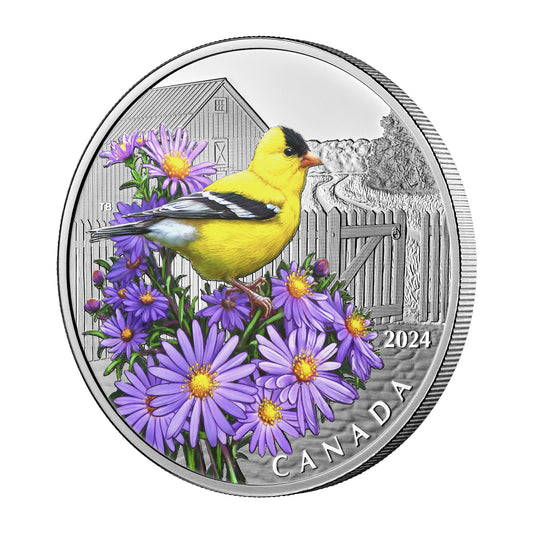 2024 $20 Colourful Birds: American Goldfinch - Pure Silver Coin