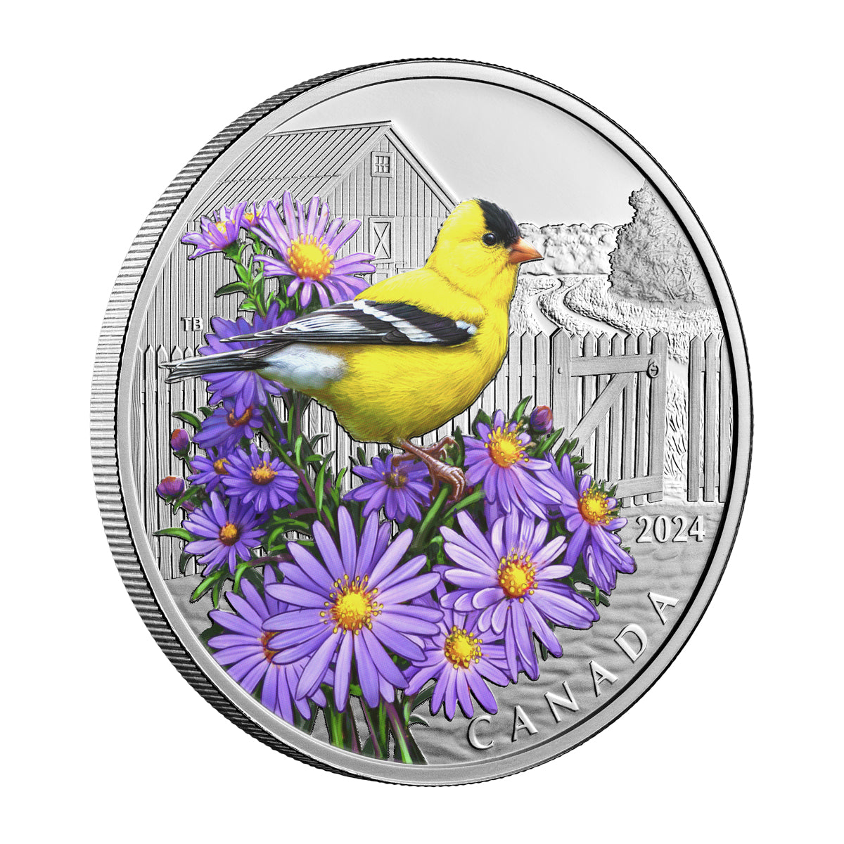 2024 $20 Colourful Birds: American Goldfinch - Pure Silver Coin