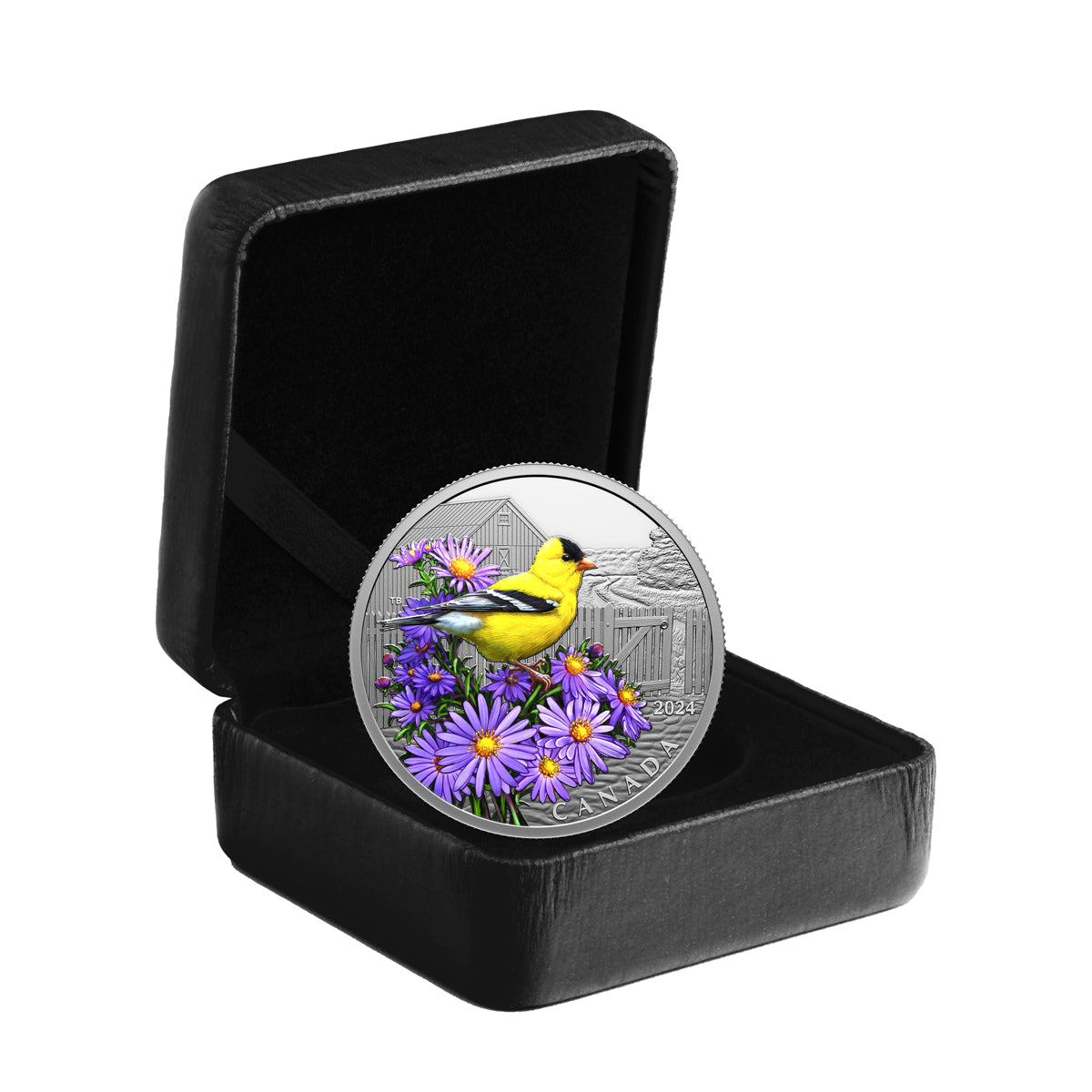 2024 $20 Colourful Birds: American Goldfinch - Pure Silver Coin