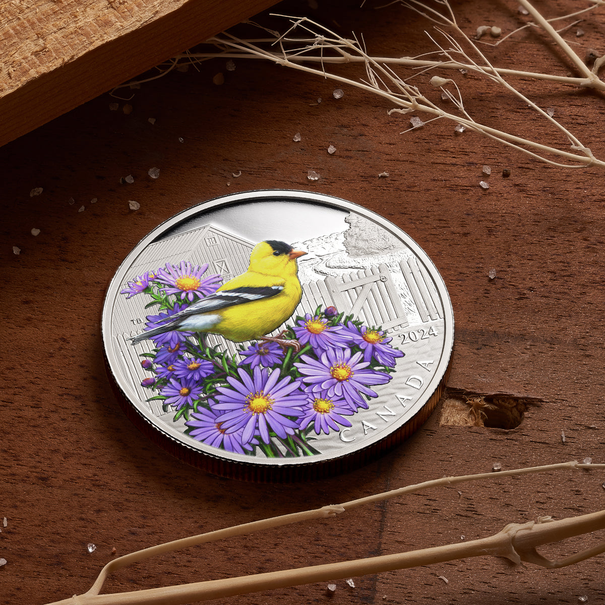 2024 $20 Colourful Birds: American Goldfinch - Pure Silver Coin