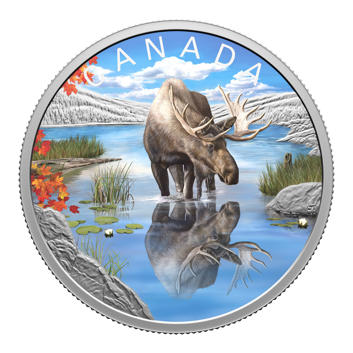 2024 $20 Wildlife Reflections: Moose - Pure Silver Coin