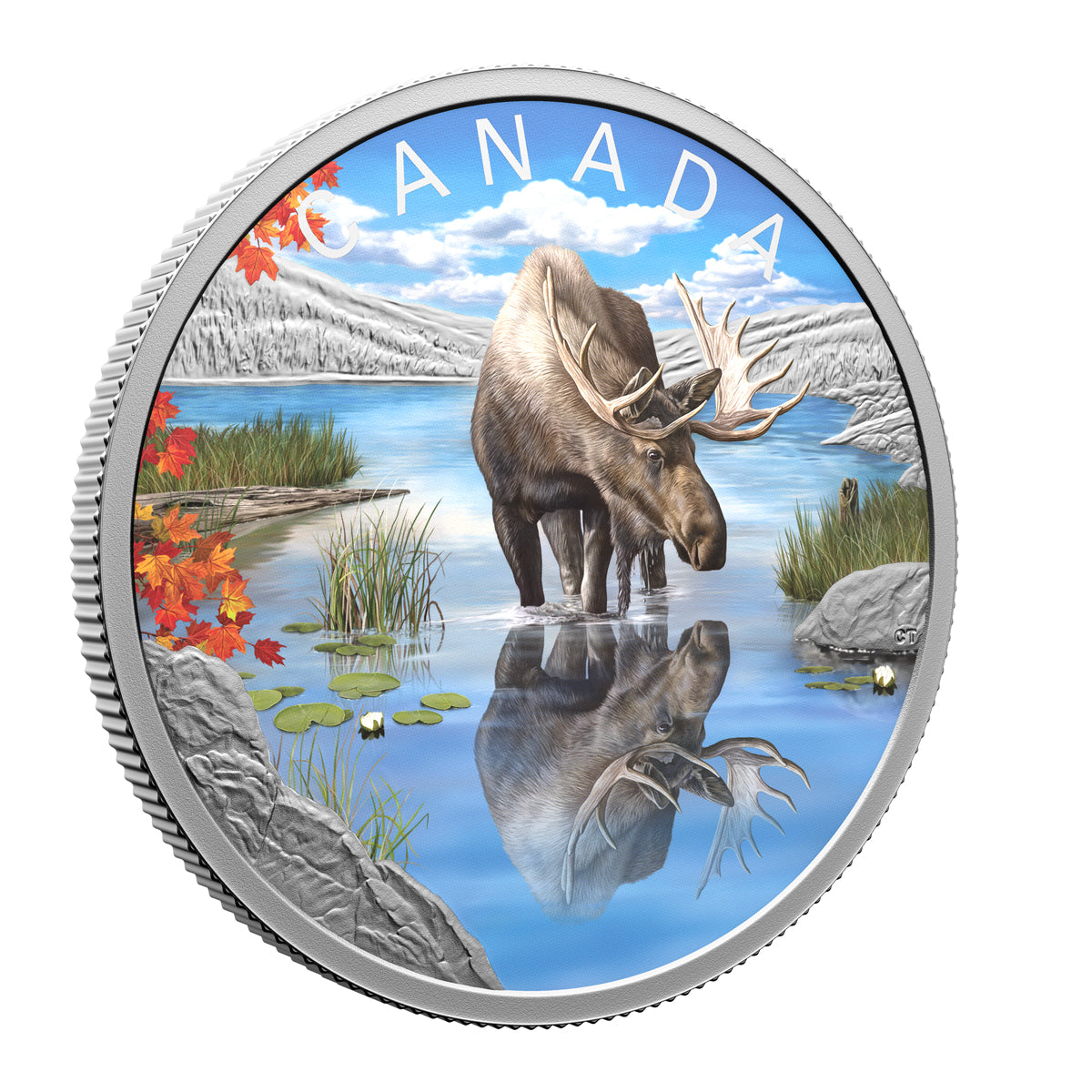 2024 $20 Wildlife Reflections: Moose - Pure Silver Coin