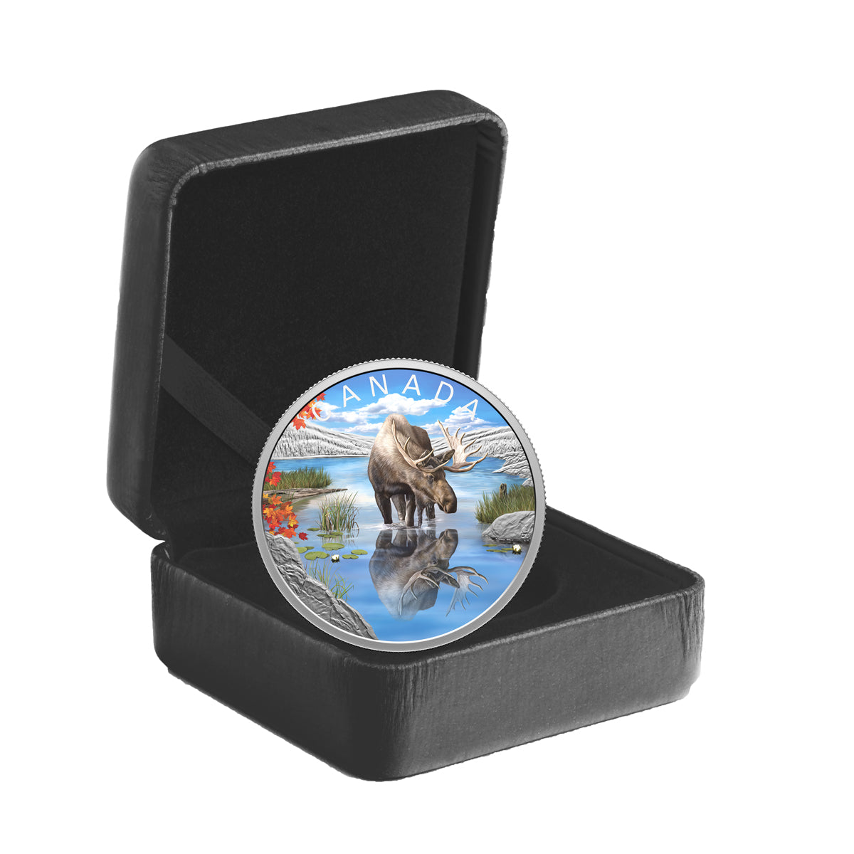 2024 $20 Wildlife Reflections: Moose - Pure Silver Coin