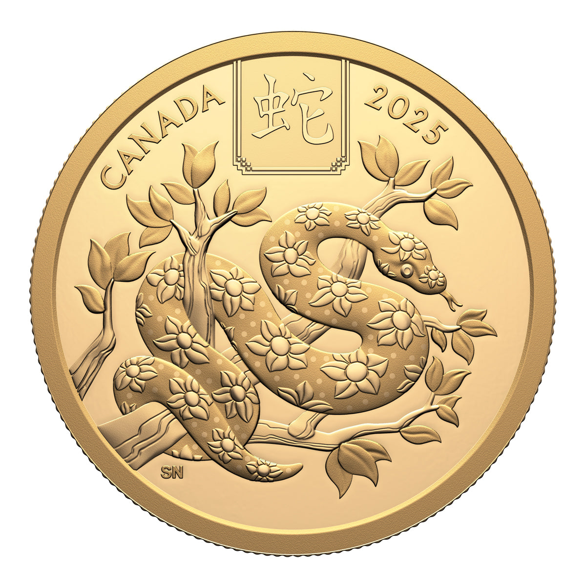 2025 $100 Lunar Year of the Snake - Pure Gold Coin