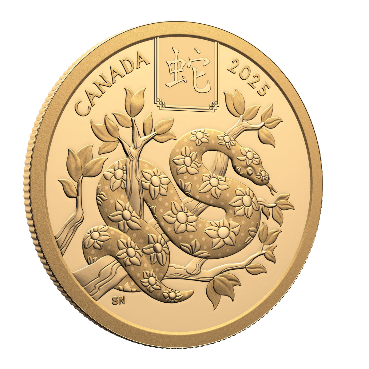 2025 $100 Lunar Year of the Snake - Pure Gold Coin