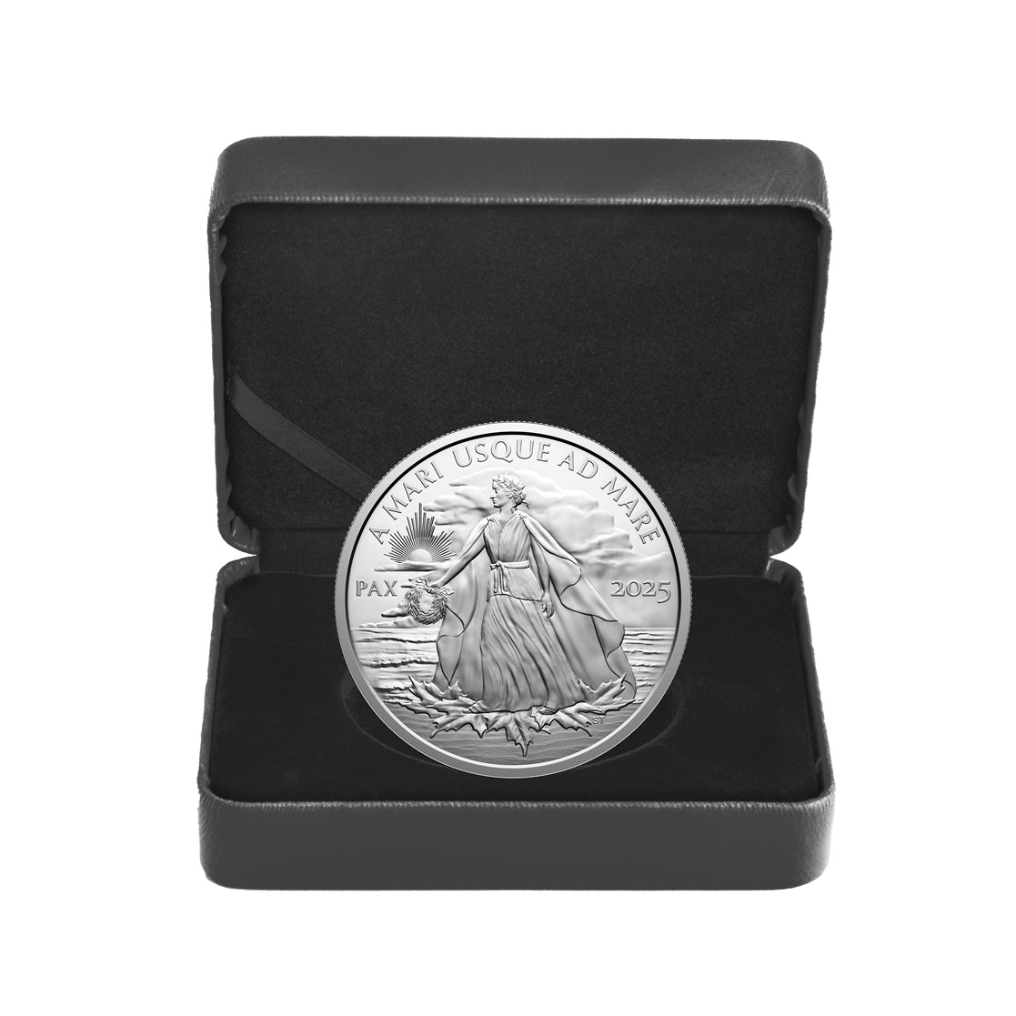 2025 $50 Peace Dollar - Pure Silver Coin