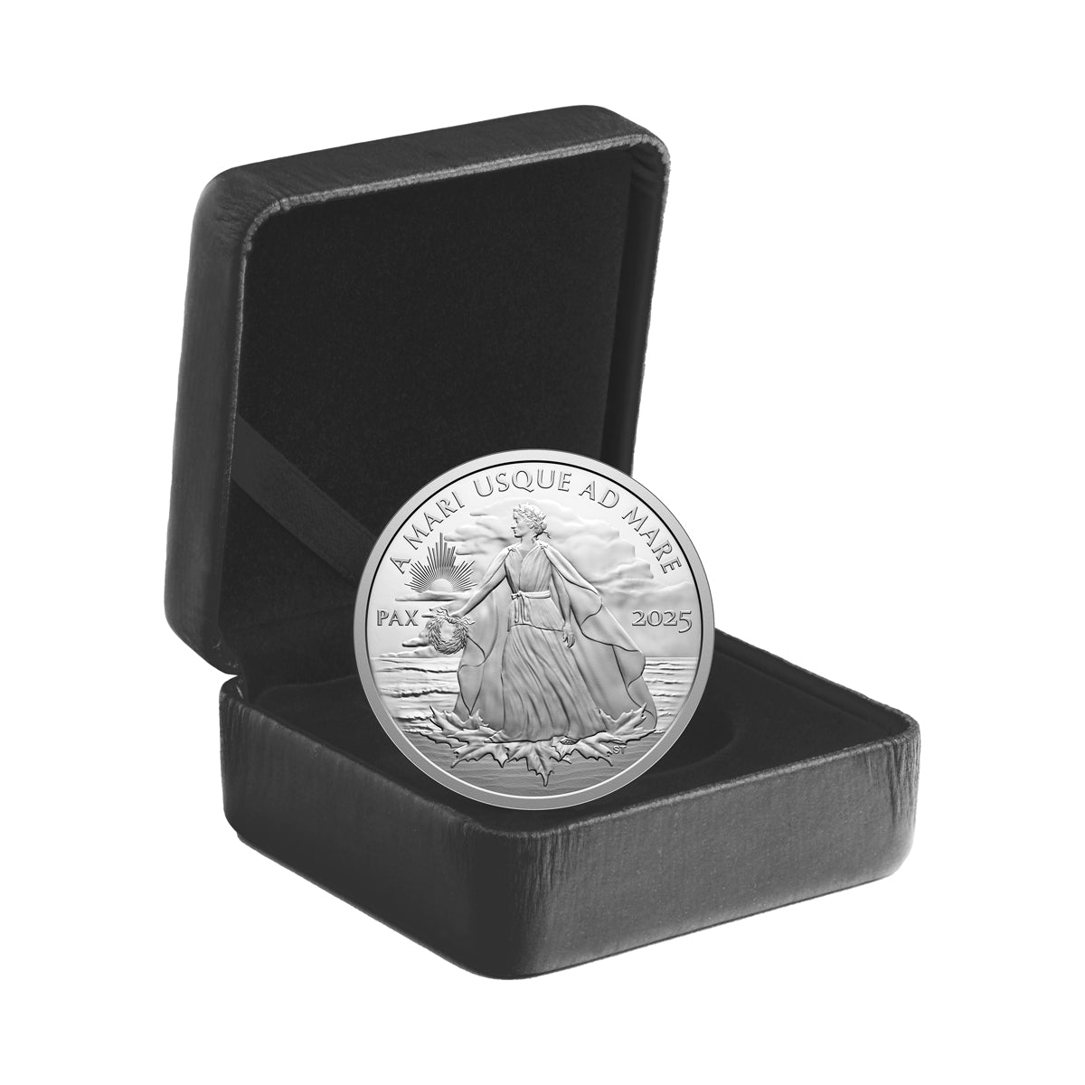 2025 $1 Peace Dollar - Pure Silver Coin