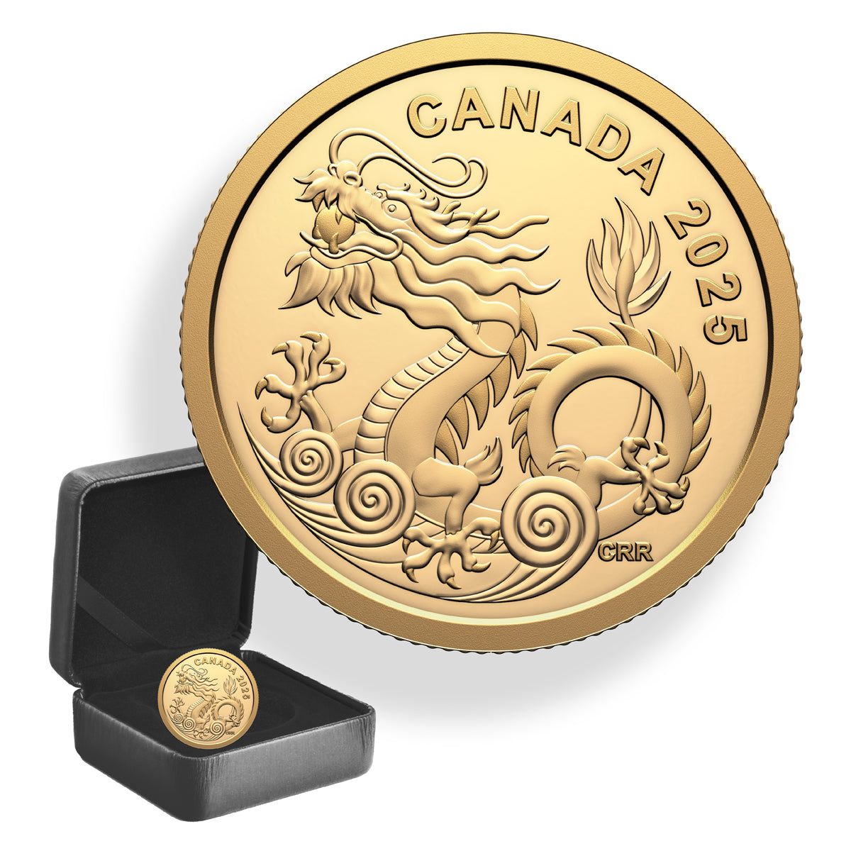 2025 $8 Water Dragon - Pure Gold Coin