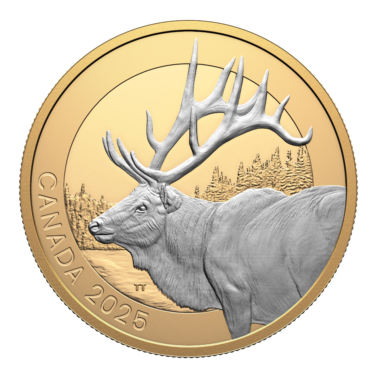 2025 $20 Animal Portraits - Pure Silver 3 Coin Set