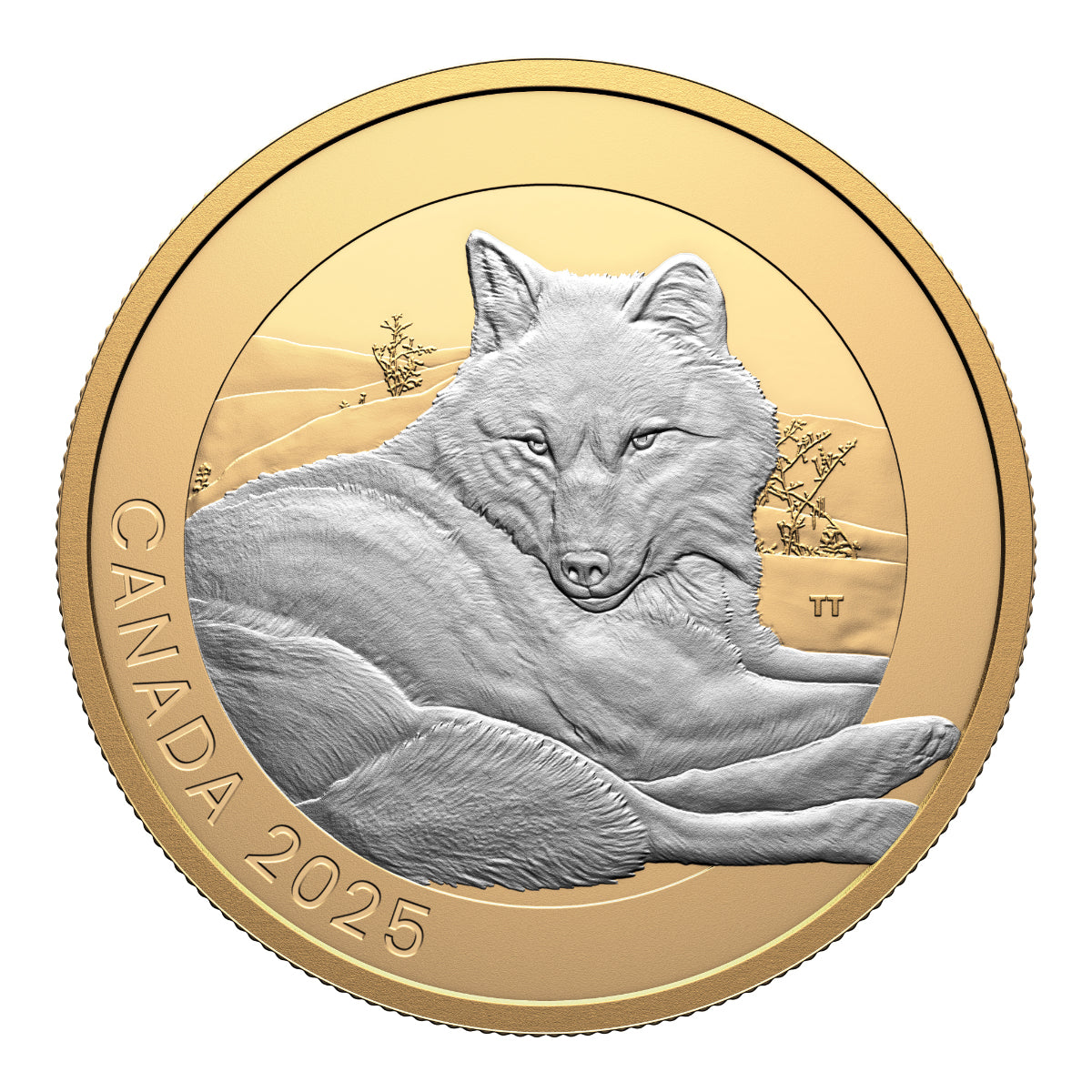 2025 $20 Animal Portraits - Pure Silver 3 Coin Set