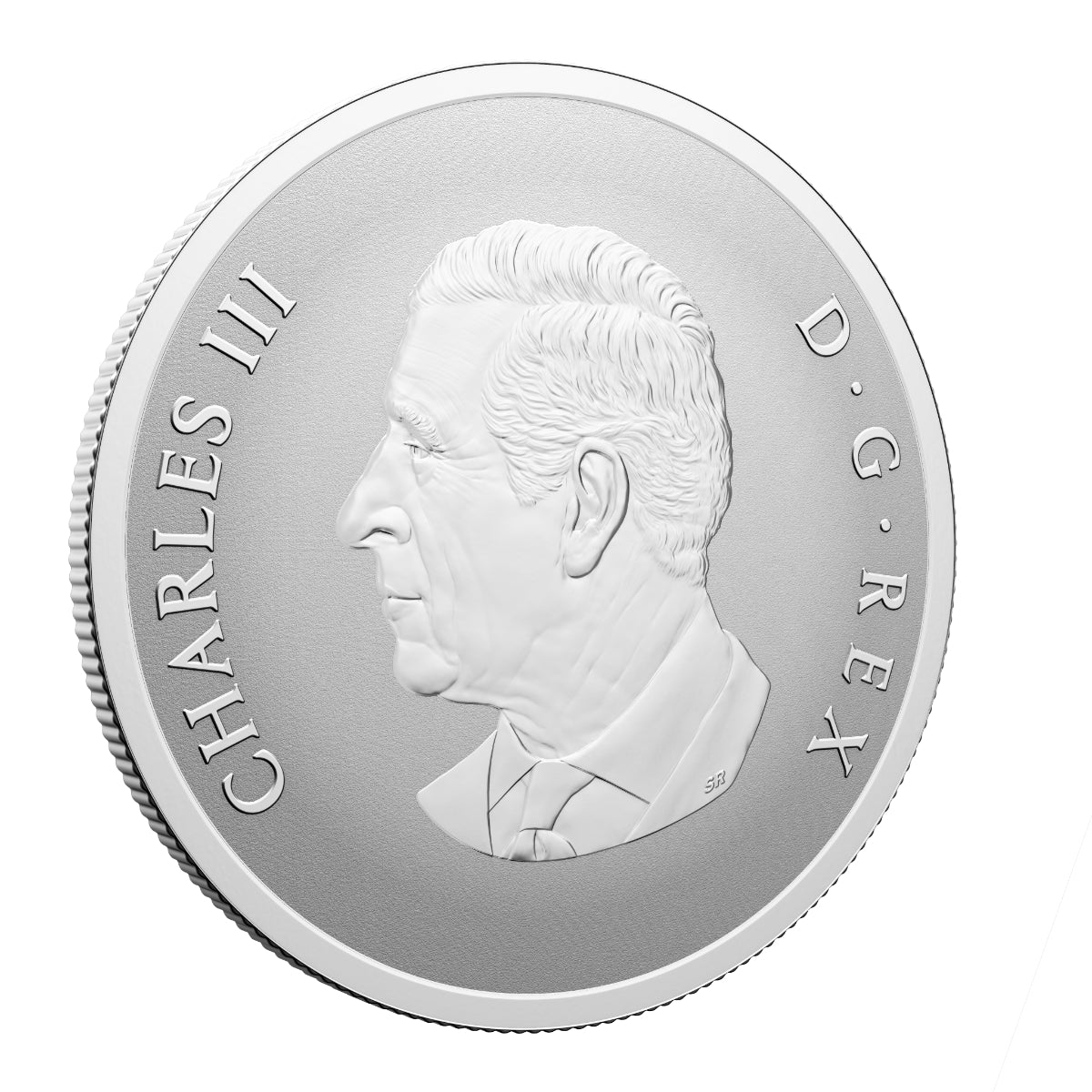 2025 $20 Remembrance Day - Pure Silver Coin