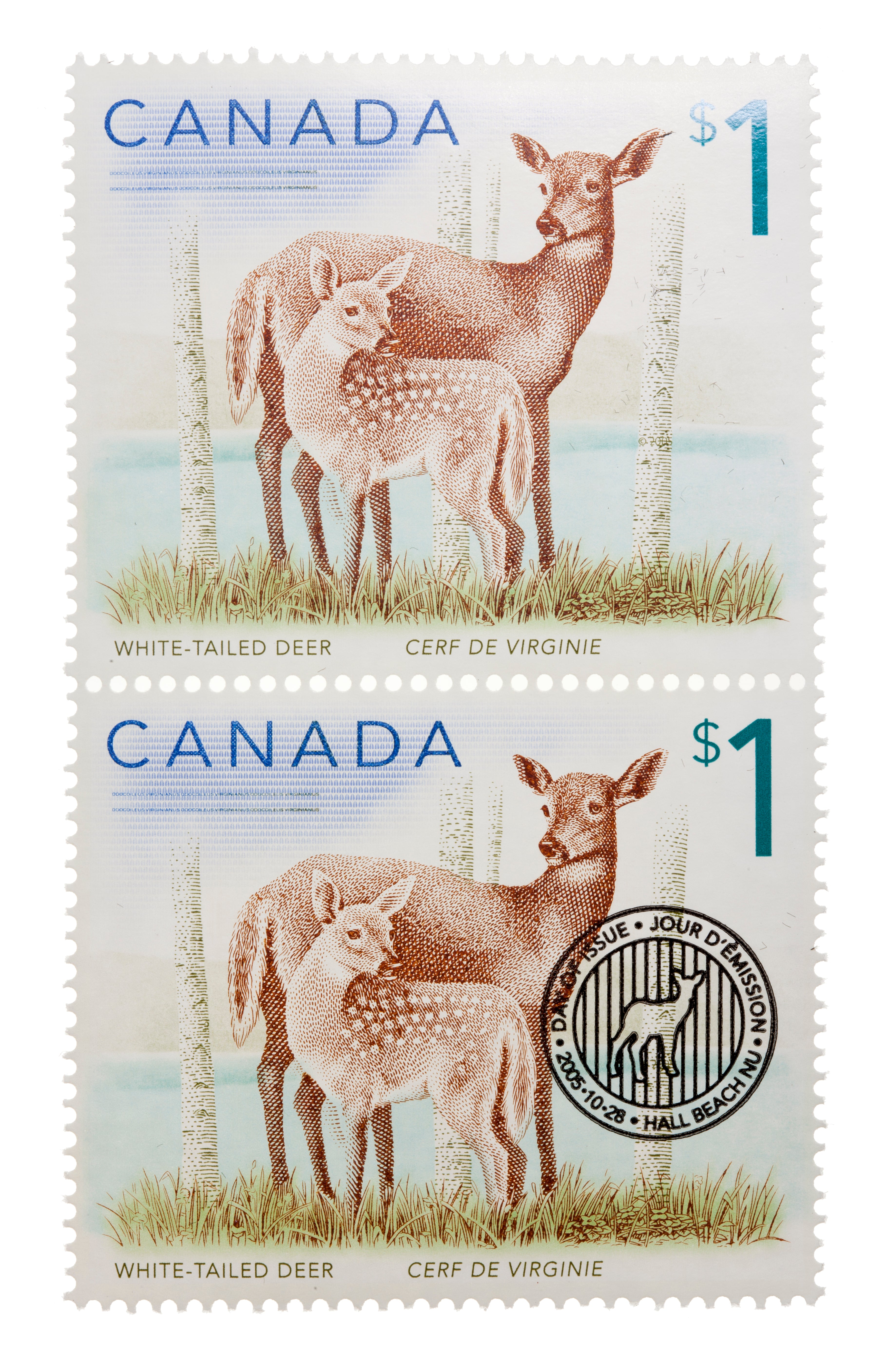 2005 $5 White-Tailed Deer and Fawn - Pure Silver Coin and Stamp Set