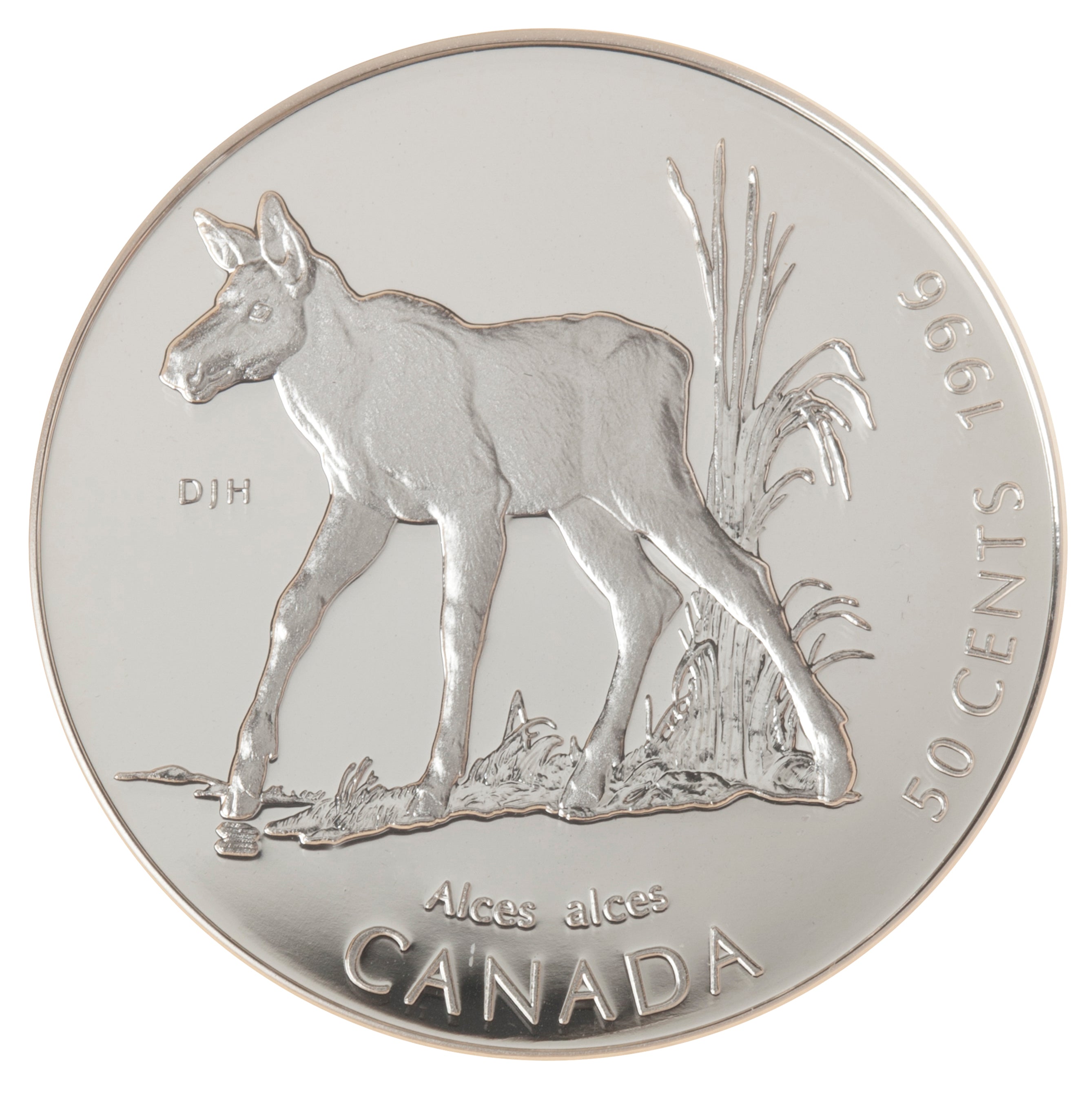 1996 50c Little Wild Ones: Moose Calf - Sterling Silver Coin