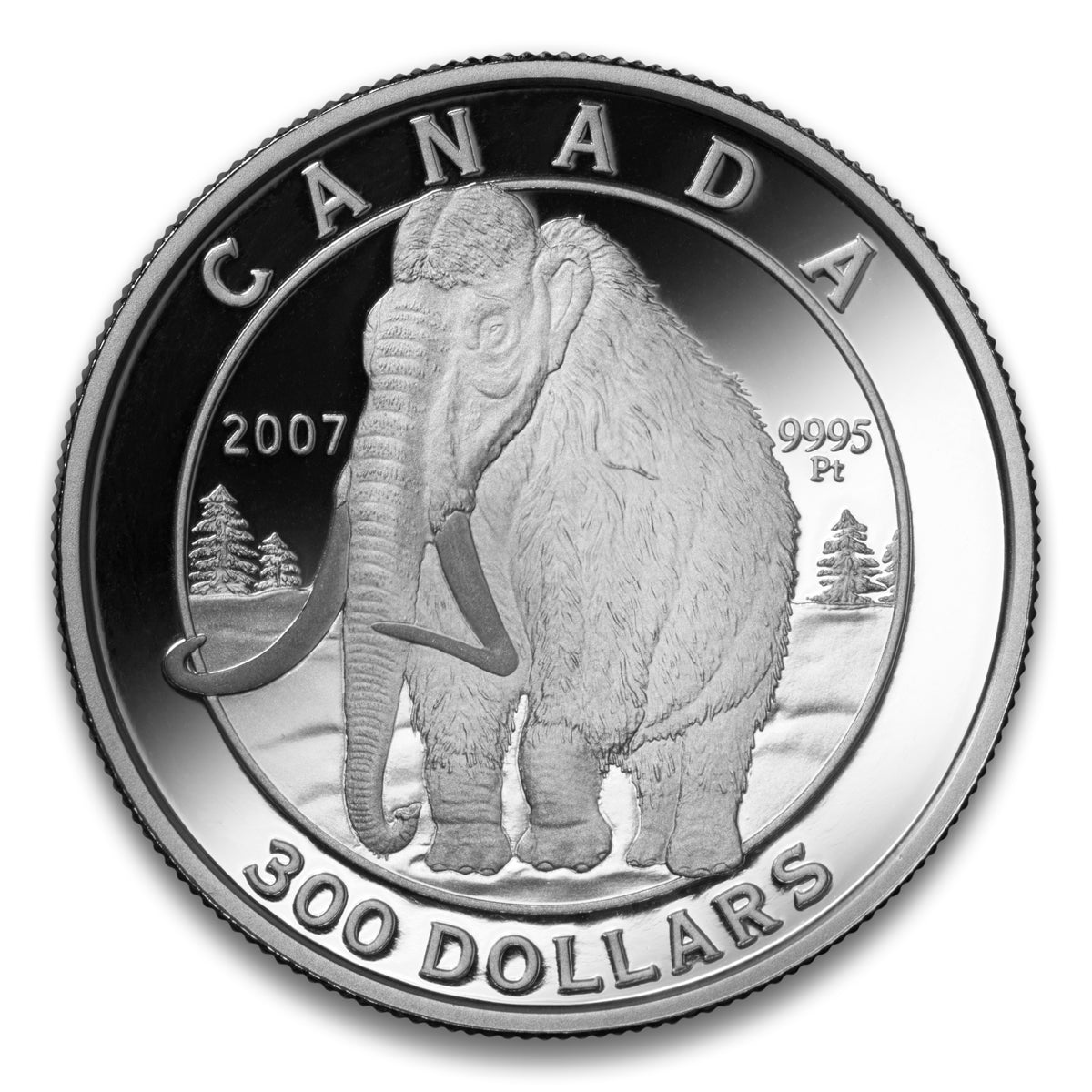 2007 $300 Woolly Mammoth - Pure Platinum Coin
