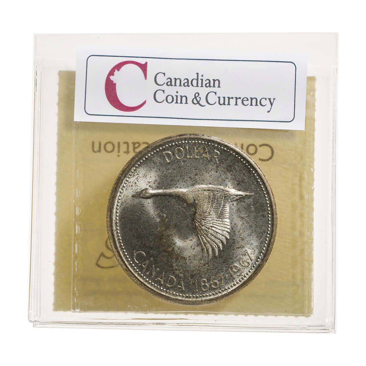 1 Dollar 1967  ICCS MS-64