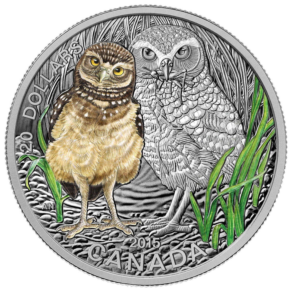 2015 $20 Baby Animals: Burrowing Owl - Pure Silver Coin and Stamp Set