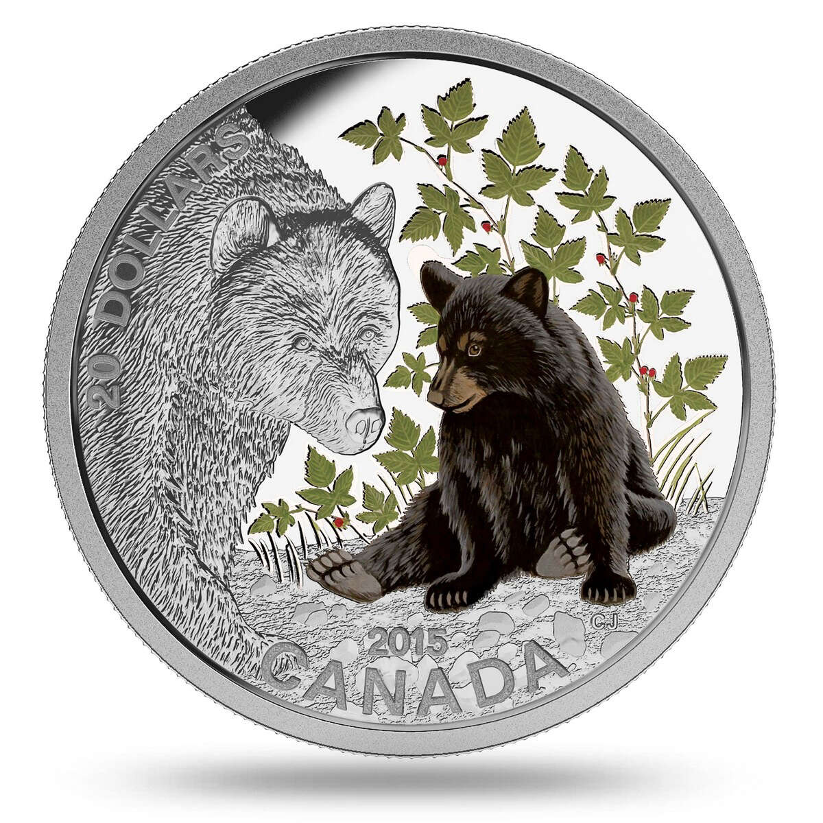 2015 $20 Baby Animals: Black Bear - Pure Silver Coin and Stamp Set