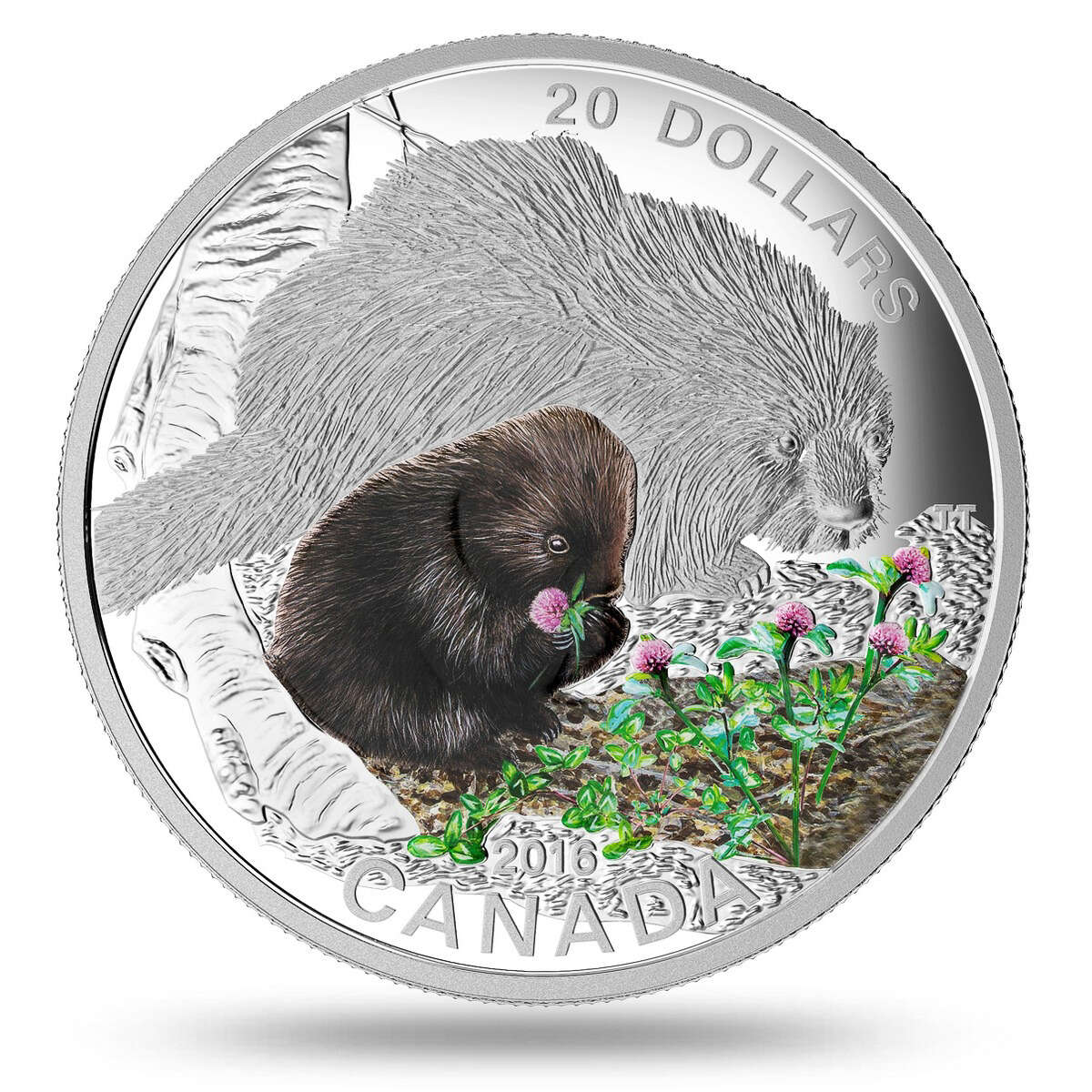 2016 $20 Baby Animals: Porcupine - Pure Silver Coin and Stamp Set