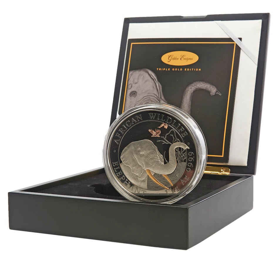 2018 2000 Schillings Golden Enigma: Somalia Elephant Kilo Coin