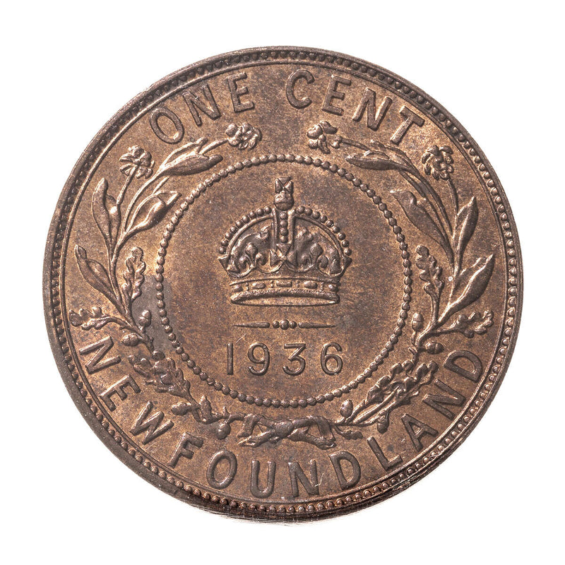 NFLD 1 cent 1936  ICCS MS-65