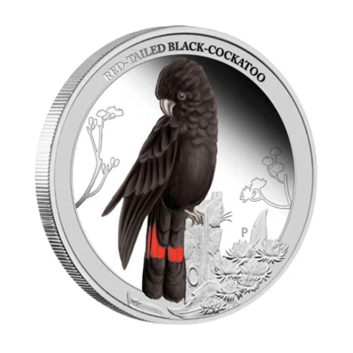 2013 50 Cent Birds of Australia: Red-Tailed Black Cockatoo - Pure Silver Coin