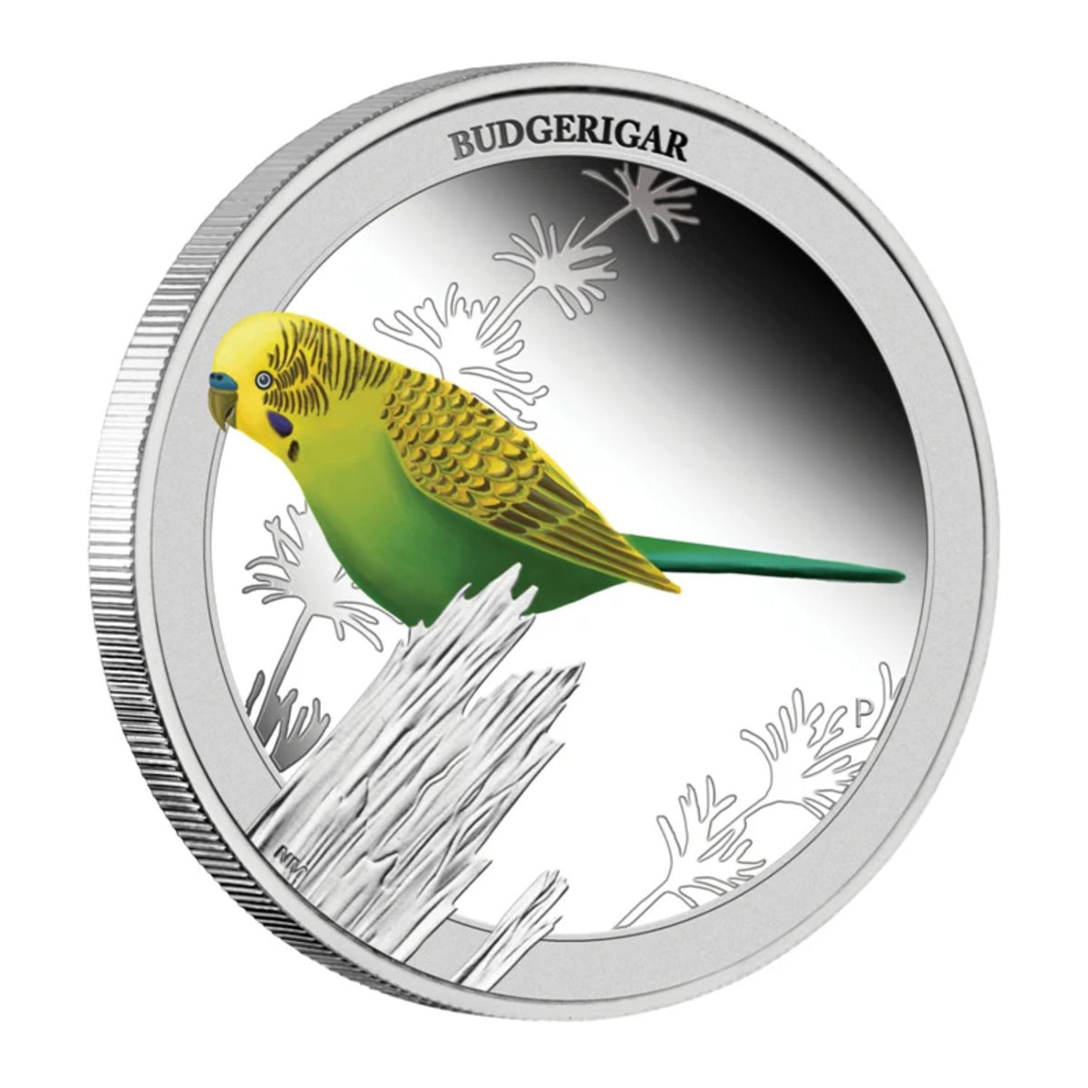 2013 50 Cent Birds of Australia: Budgerigar - Pure Silver Coin