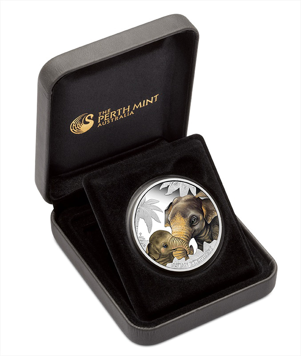 2014 50 Cent Mother's Love: Elephant - Pure Silver Coin