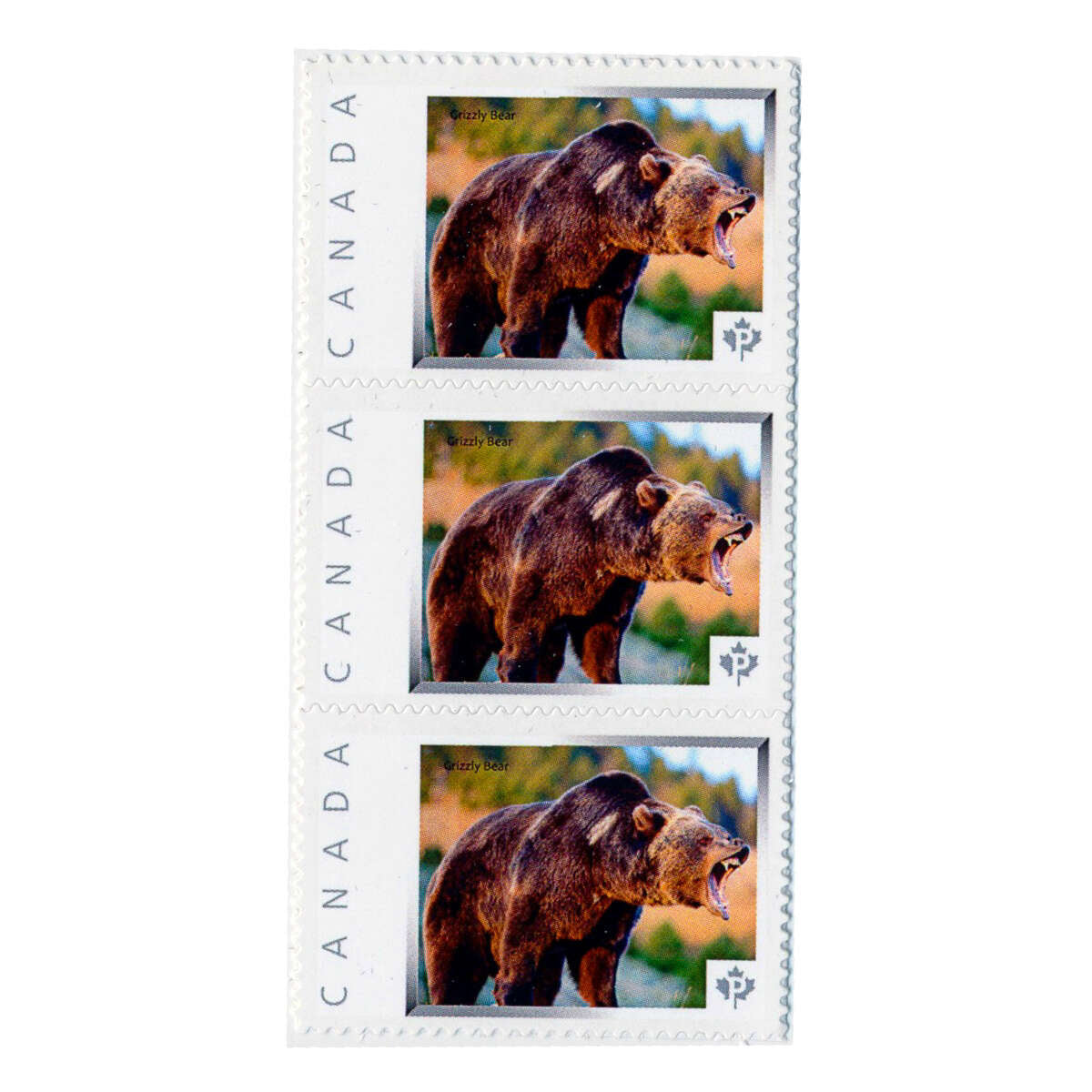 2011 $5 Grizzly Bear - 1 oz. Pure Silver Coin and Stamp Set