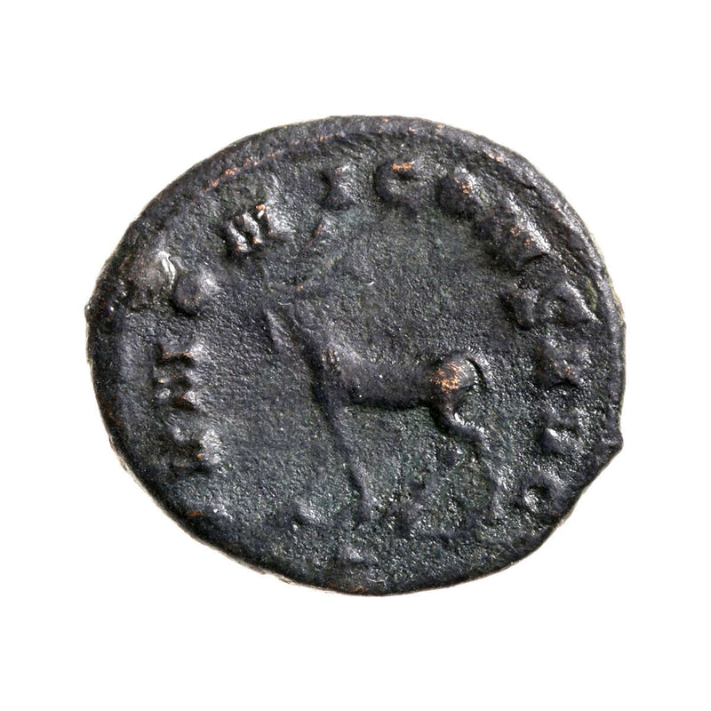 Ancient Rome Antoninianus Cornelia Supera 253 AD VG-8
