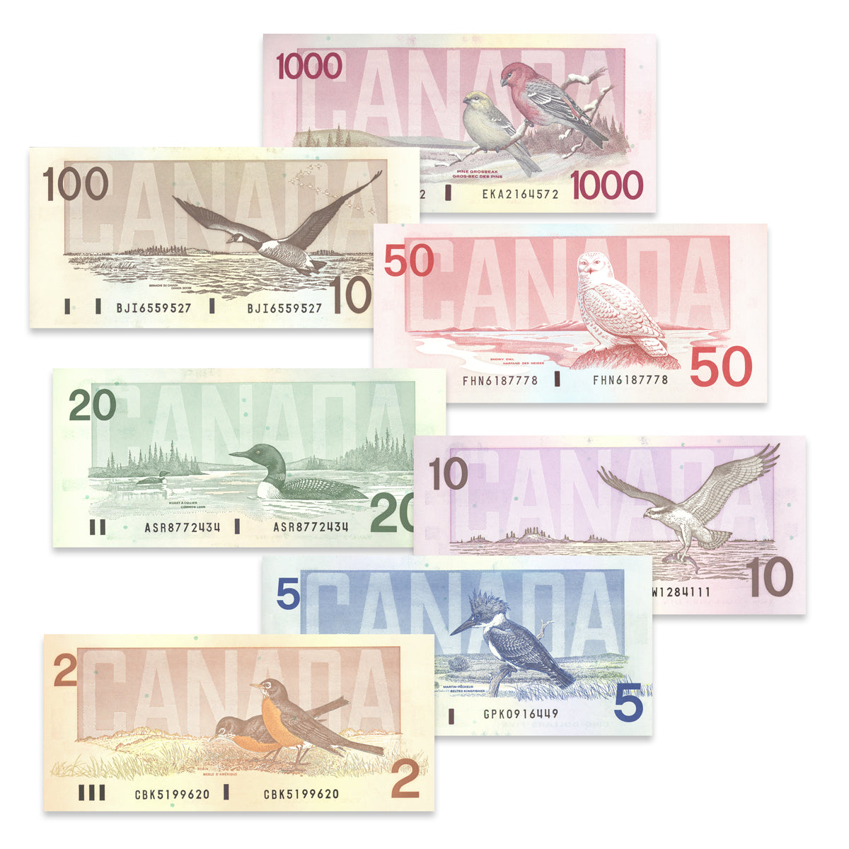 $2 - $1000 Bird Series Bonin-Thiessen 7 Banknote Set - Matching Signatures