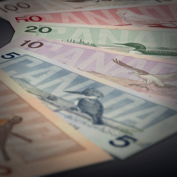 Paper Money Basics - Birds of Canada Series Notes