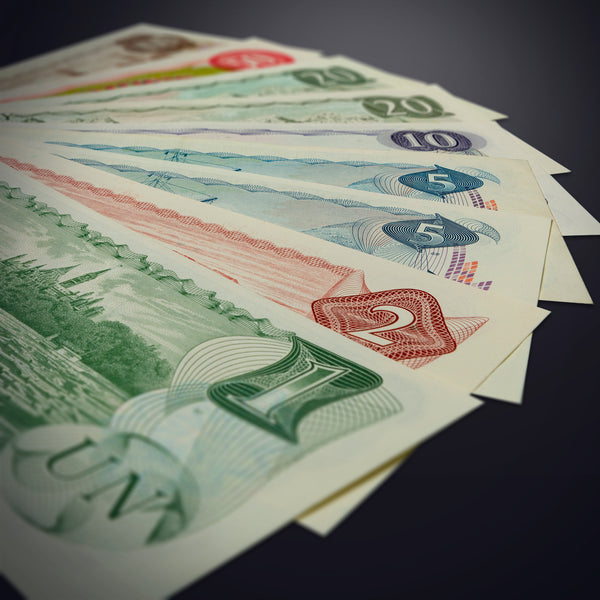 Paper Money Basics - Canadian Multicolour Series Notes
