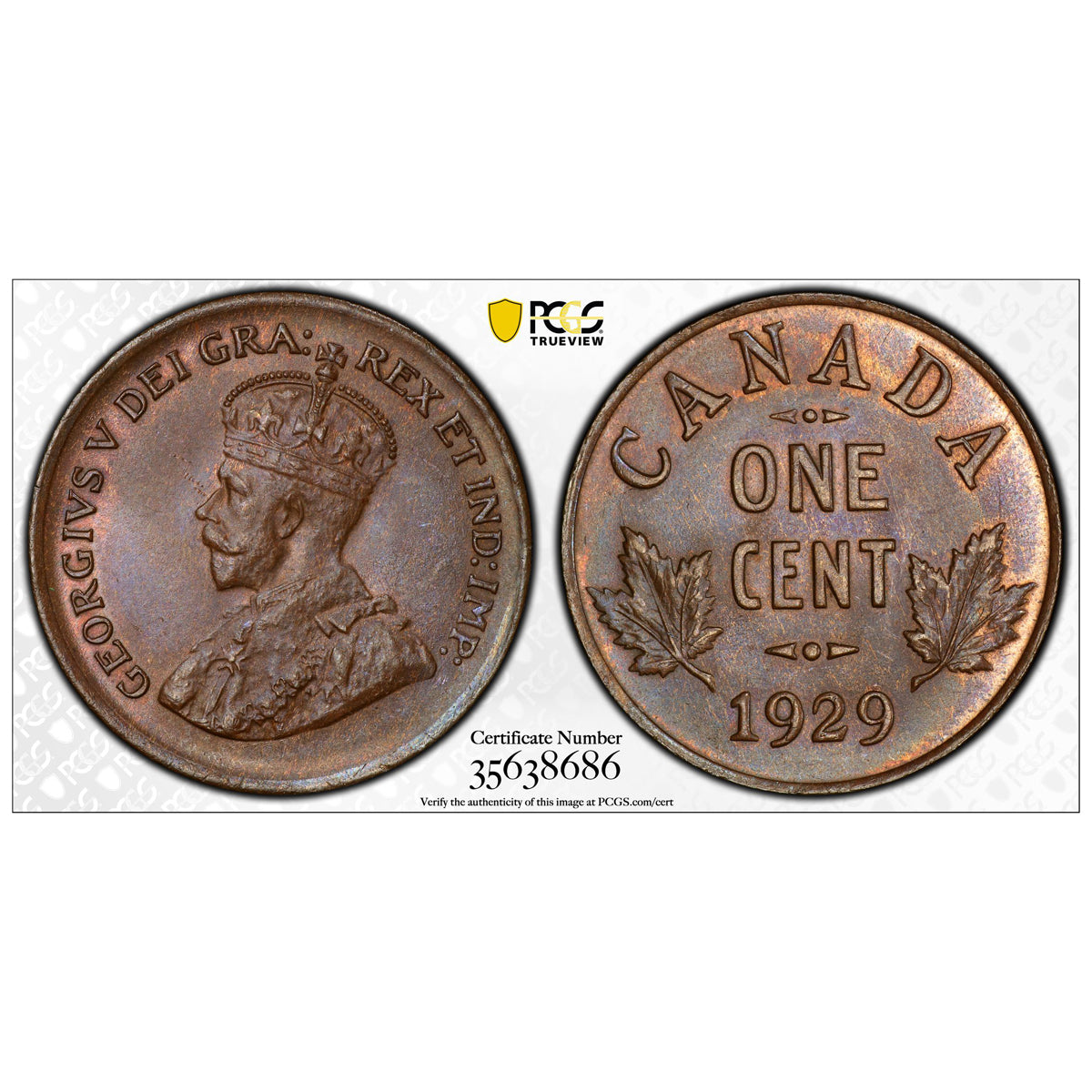 1 Cent 1929 Brown PCGS MS-65