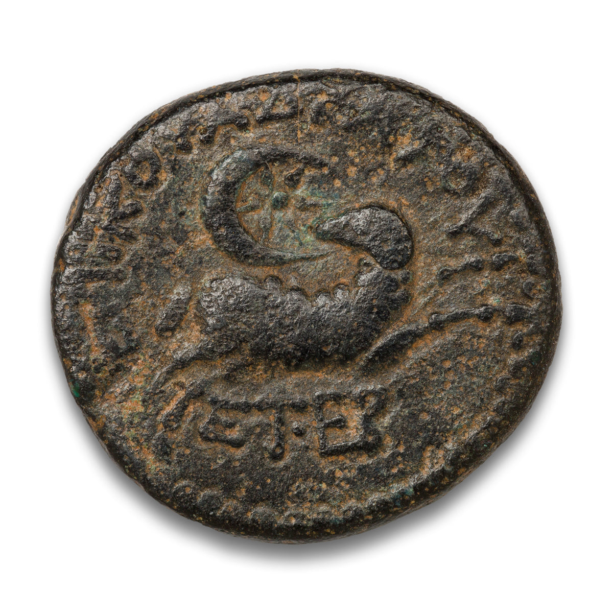 Roman Empire Antioch, Syria Bronze 20 BCE-20CE