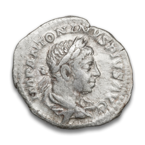 NUM00004877_600x600_crop_cente