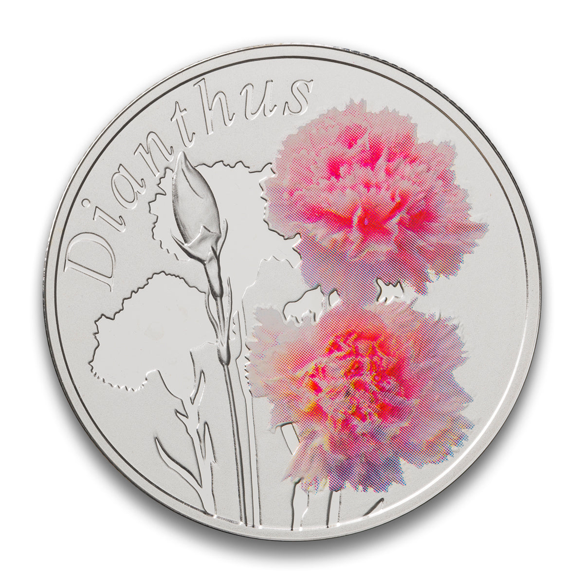 2013 10 Roubles Beauty of Flowers: The Carnation Coin