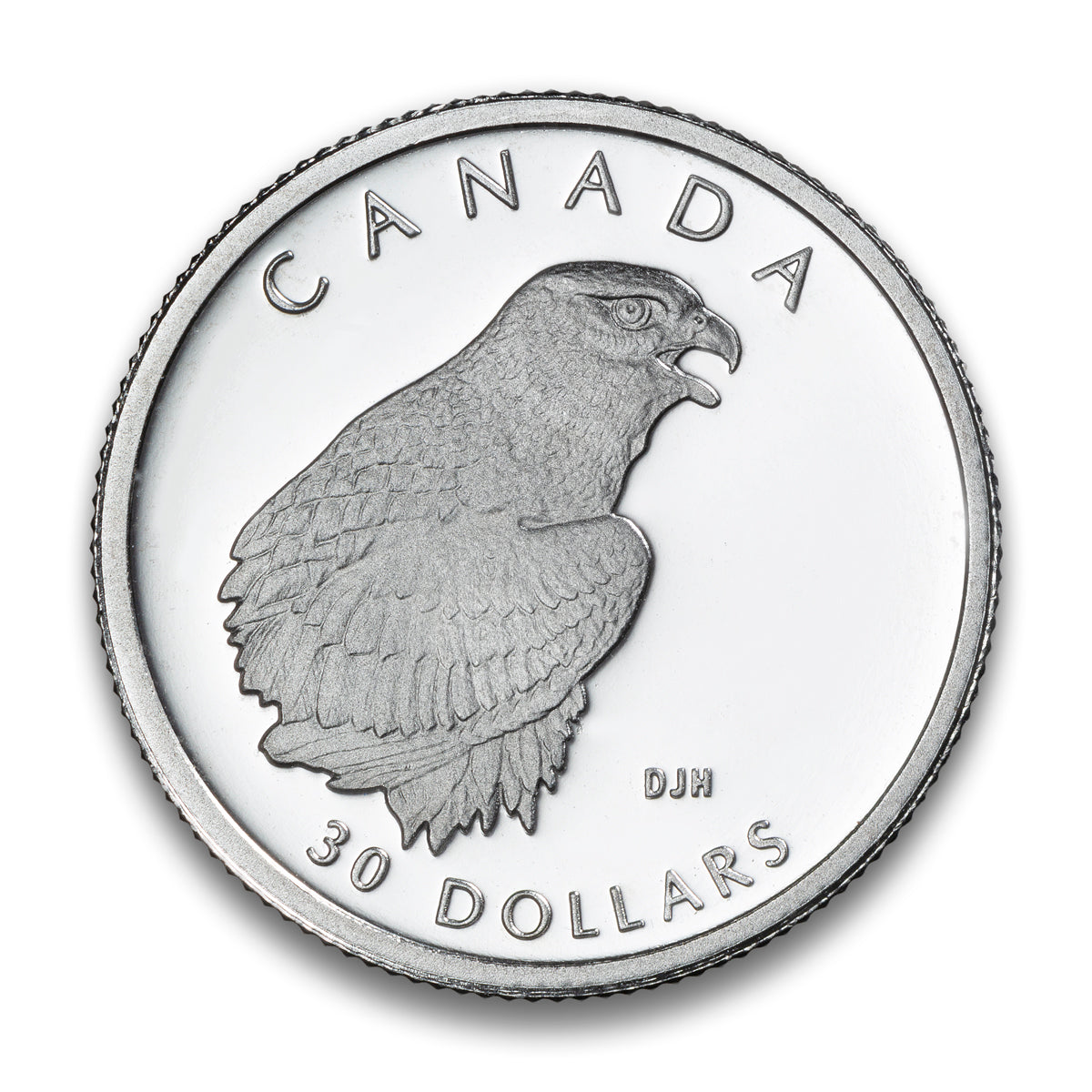 1996 $30 Peregrine Falcon - Platinum Coin