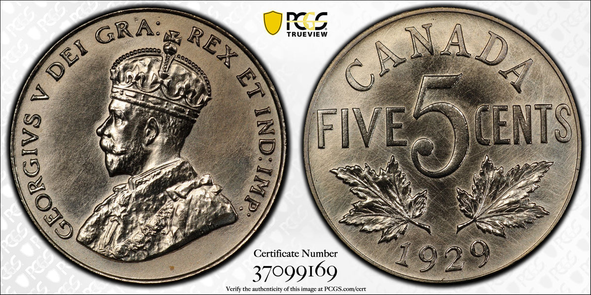 5 Cent 1929 Cook Collection PCGS SP-65