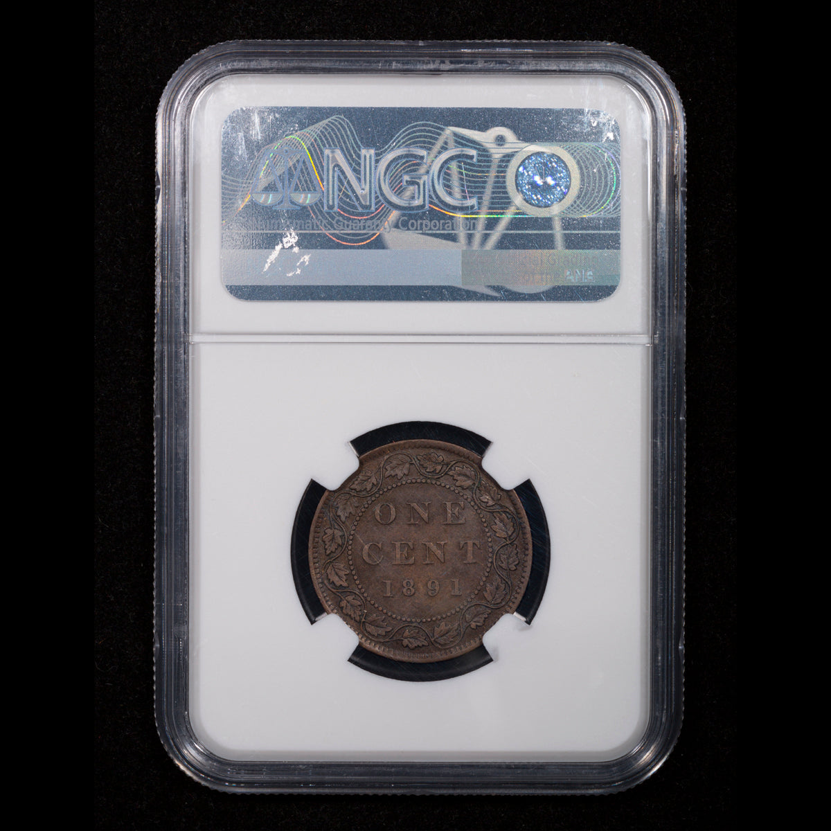 1 Cent 1891 SD SL NGC VF-35 BN